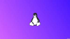 linux command